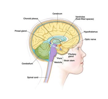 Pediatric Brain Tumor Surgery