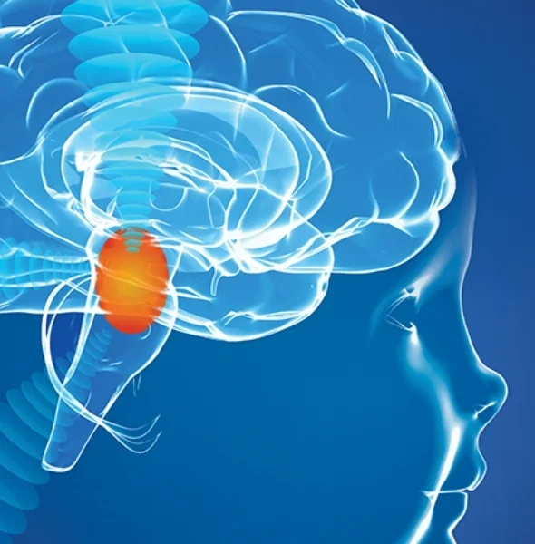 PEDIATRIC BRAIN TUMOR EXCISION